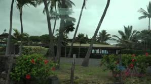 Kate makes it to Hawaii, and you make her cum.