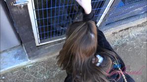 Macy Meadows Temecula Part 3