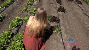 You take Paris to the farm!